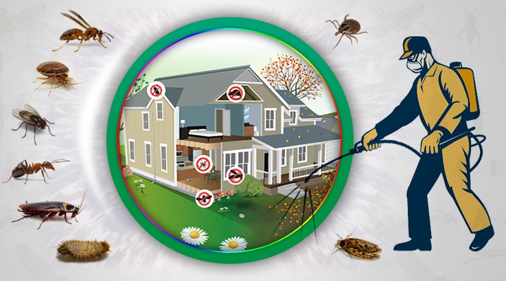 Beşiktaş Böcek İlaçlama