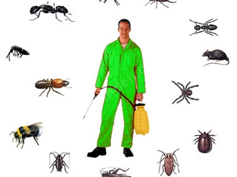 Beşiktaş Böcek İlaçlama